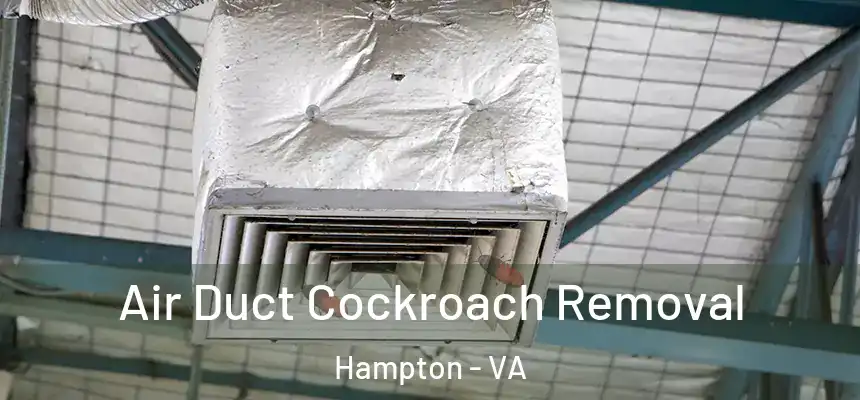 Air Duct Cockroach Removal Hampton - VA