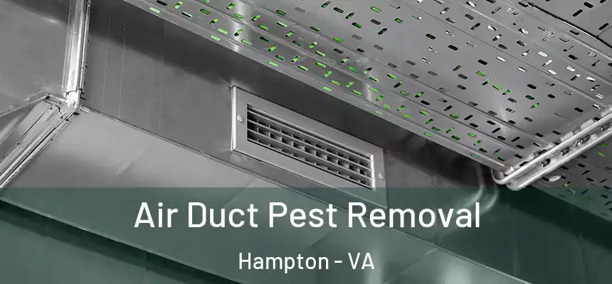 Air Duct Pest Removal Hampton - VA