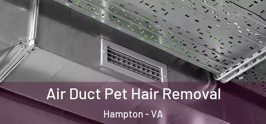 Air Duct Pet Hair Removal Hampton - VA