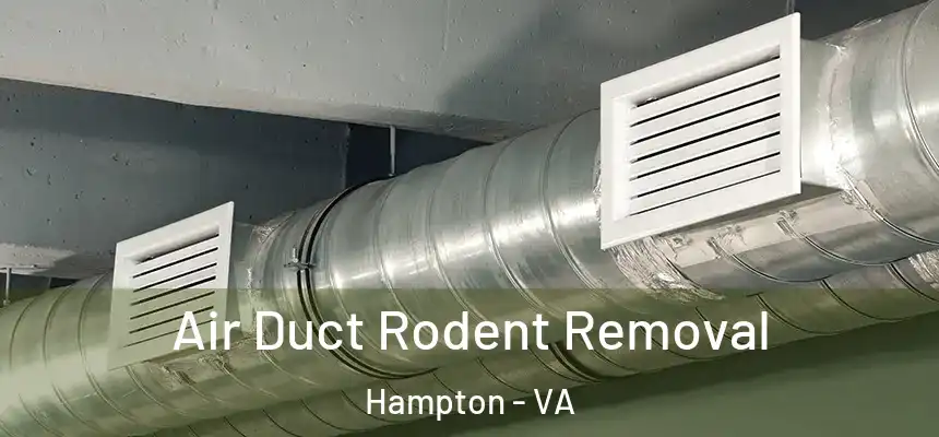 Air Duct Rodent Removal Hampton - VA