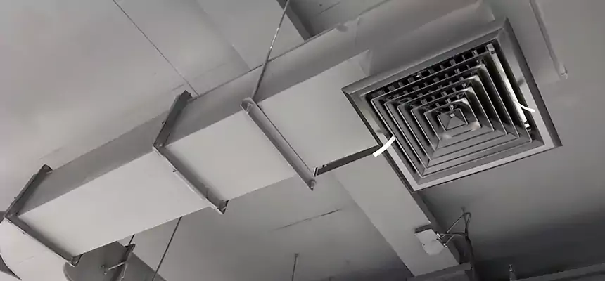 Restorative Allergy Relief Vent Cleaning – Coil, Blower & Housing Detail in Hampton