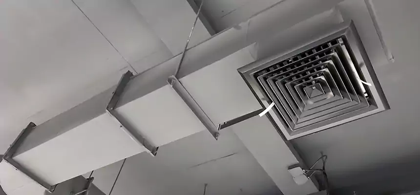 Our Pest Removal From Ducts Services in Hampton, VA