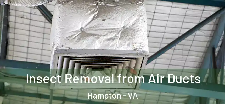 Insect Removal from Air Ducts Hampton - VA