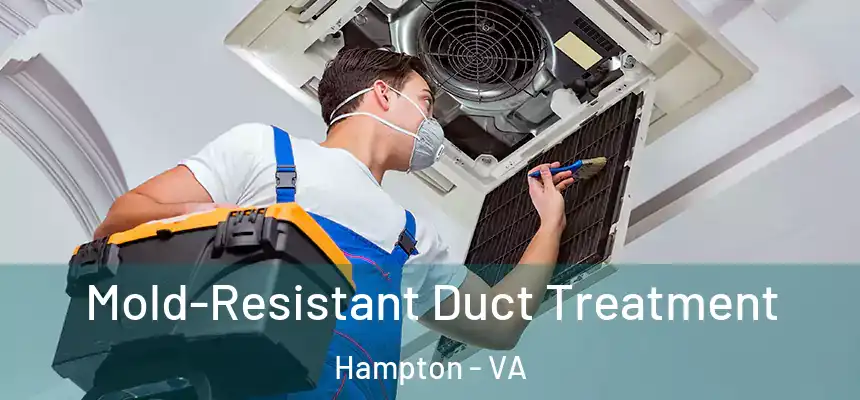  Mold-Resistant Duct Treatment Hampton - VA