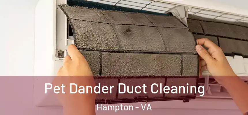 Pet Dander Duct Cleaning Hampton - VA