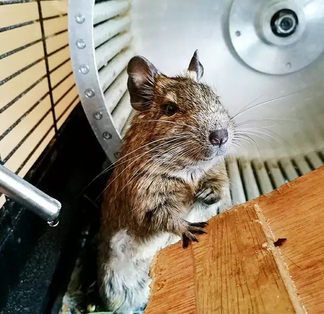 Why Homeowners & Businesses Trust Us Hampton, VA?