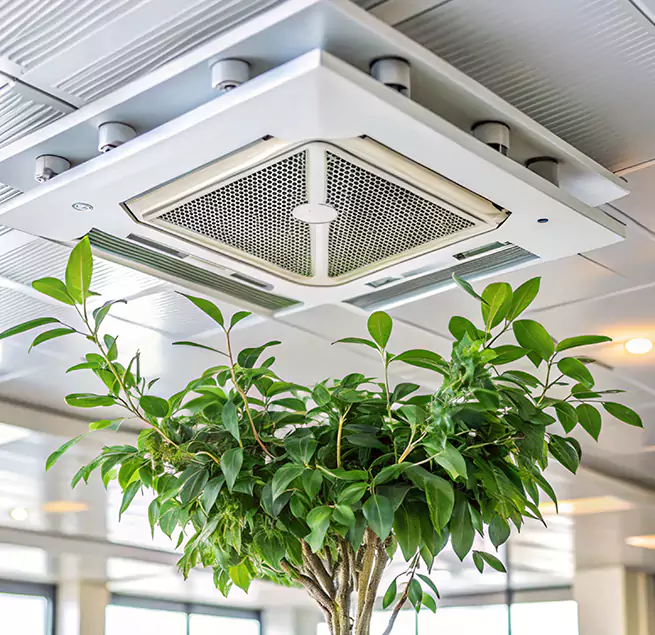 Why Homeowners & Businesses Trust Us in Hampton, VA?