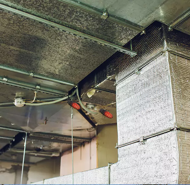 Why Homeowners & Businesses Trust Us Hampton, VA?