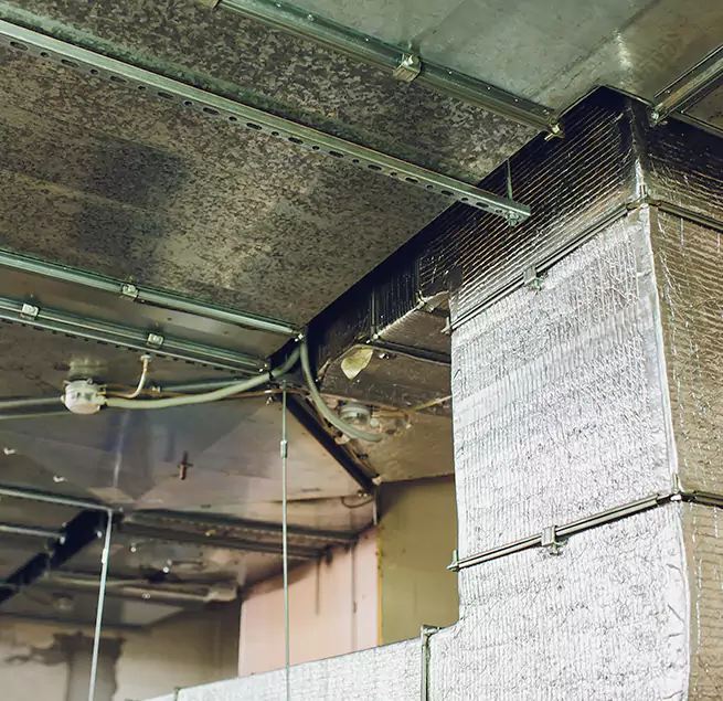 Why Homeowners & Businesses Trust Us in Hampton, VA?